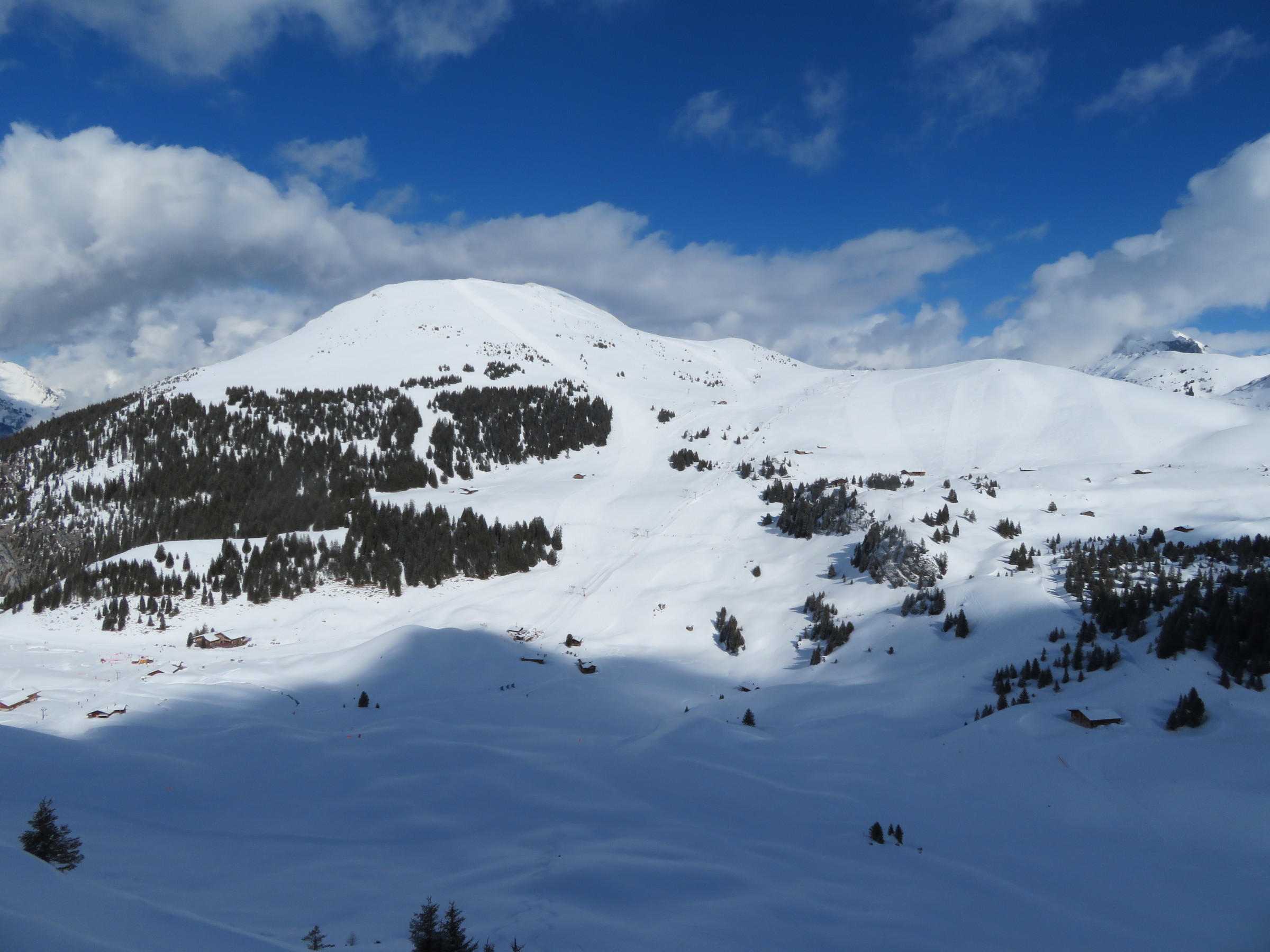 IMG_8752.JPG