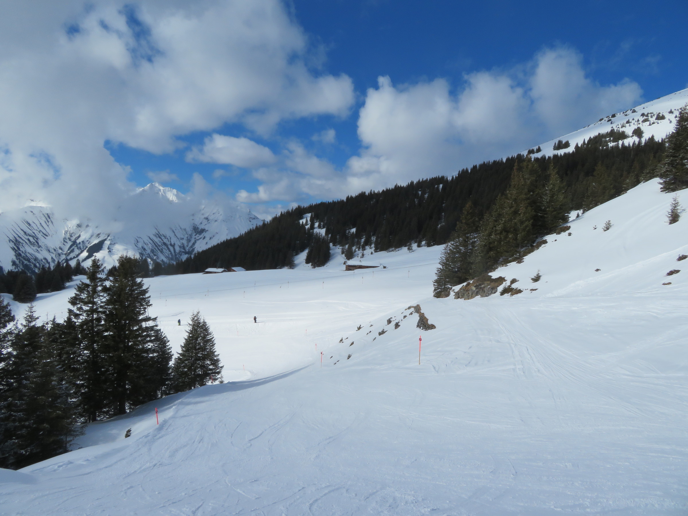 IMG_8765.JPG