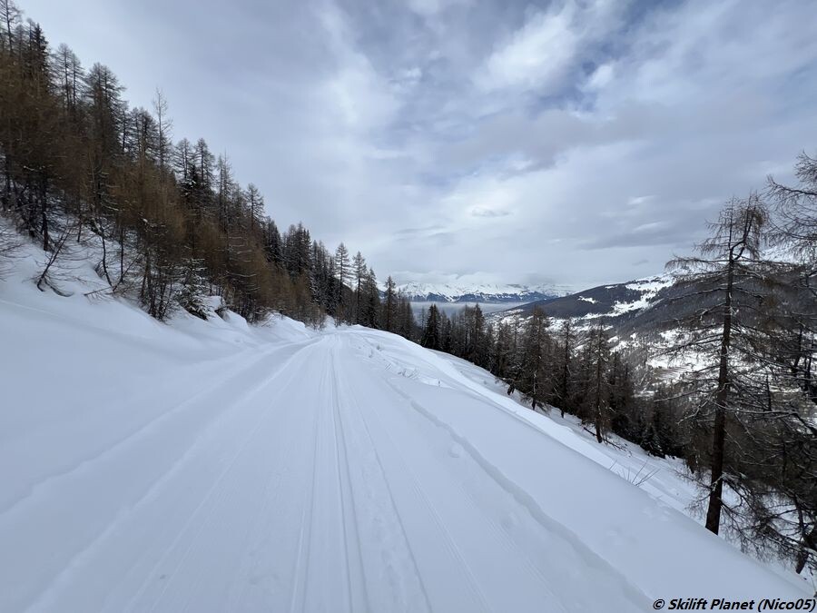IMG_8772.JPG