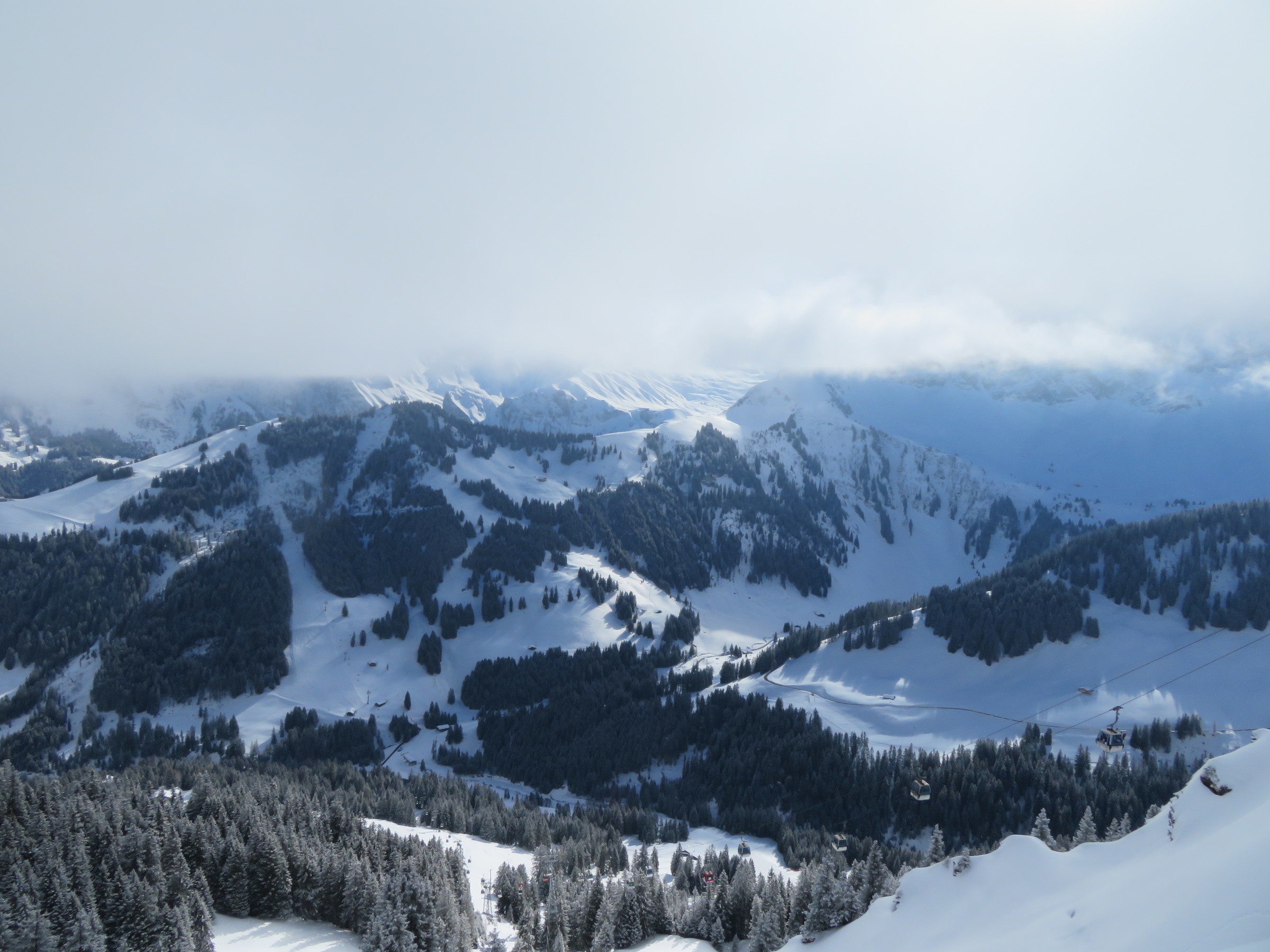 IMG_8796.JPG