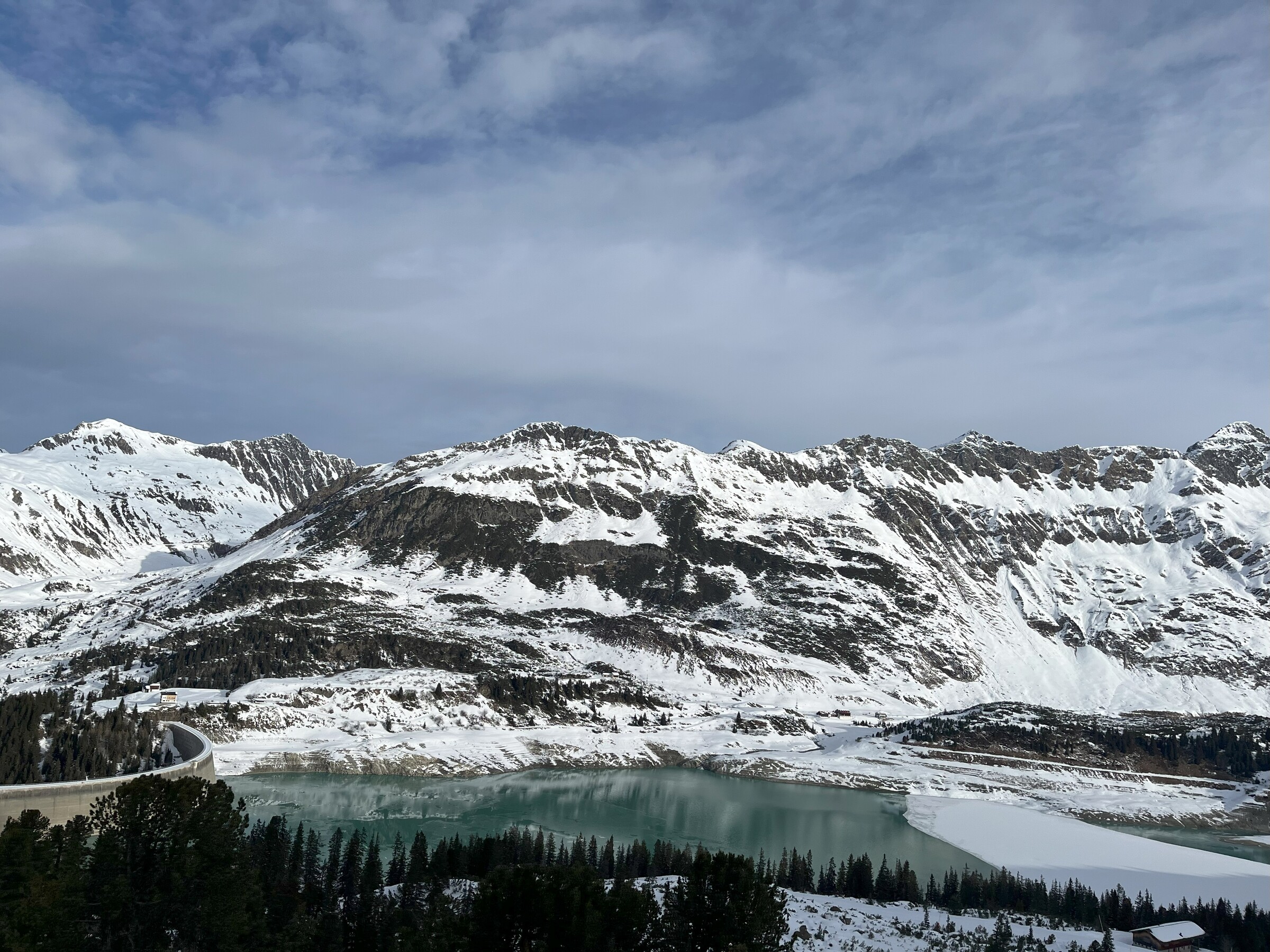 IMG_8806.jpg