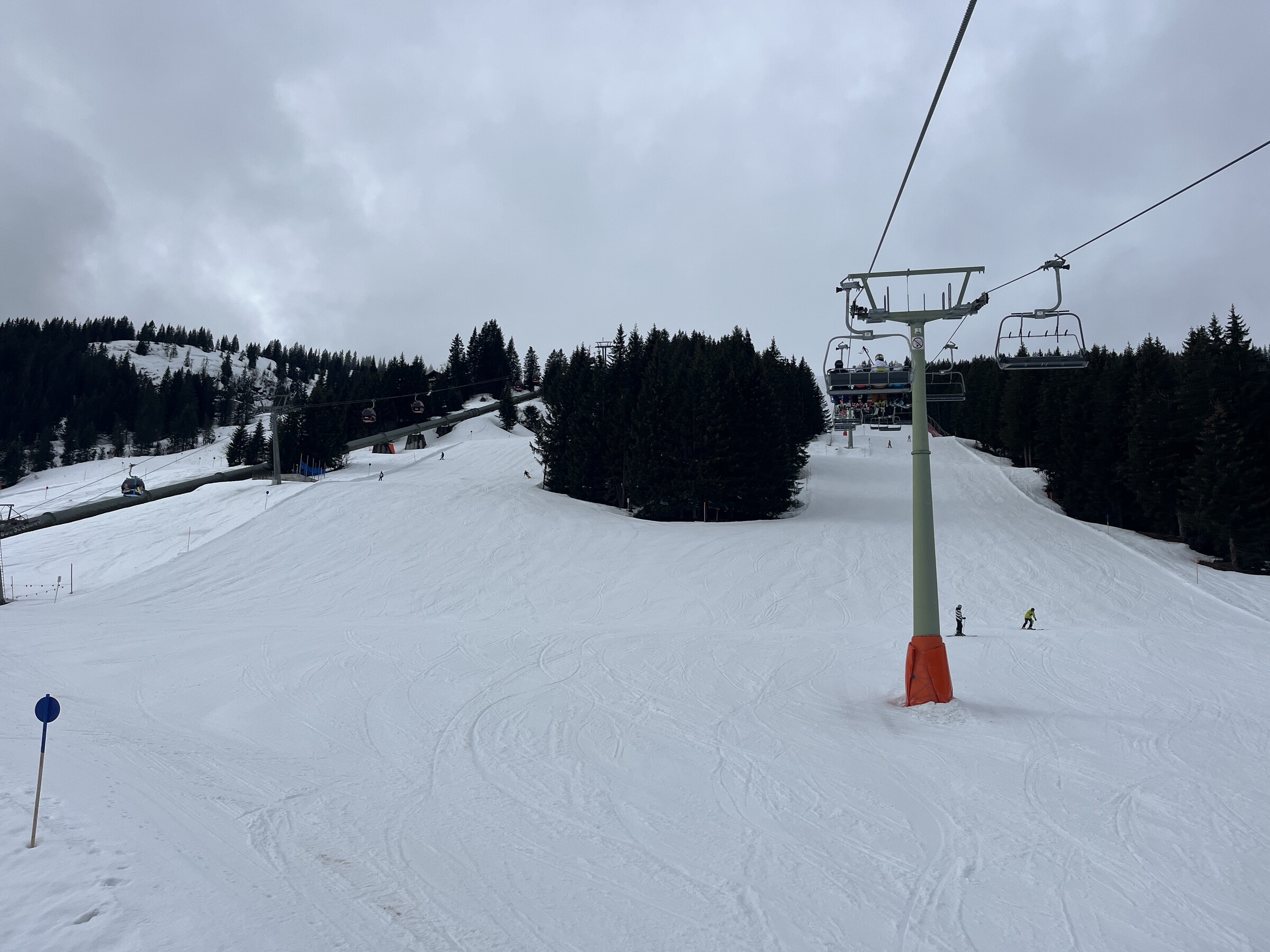 IMG_8848.jpeg