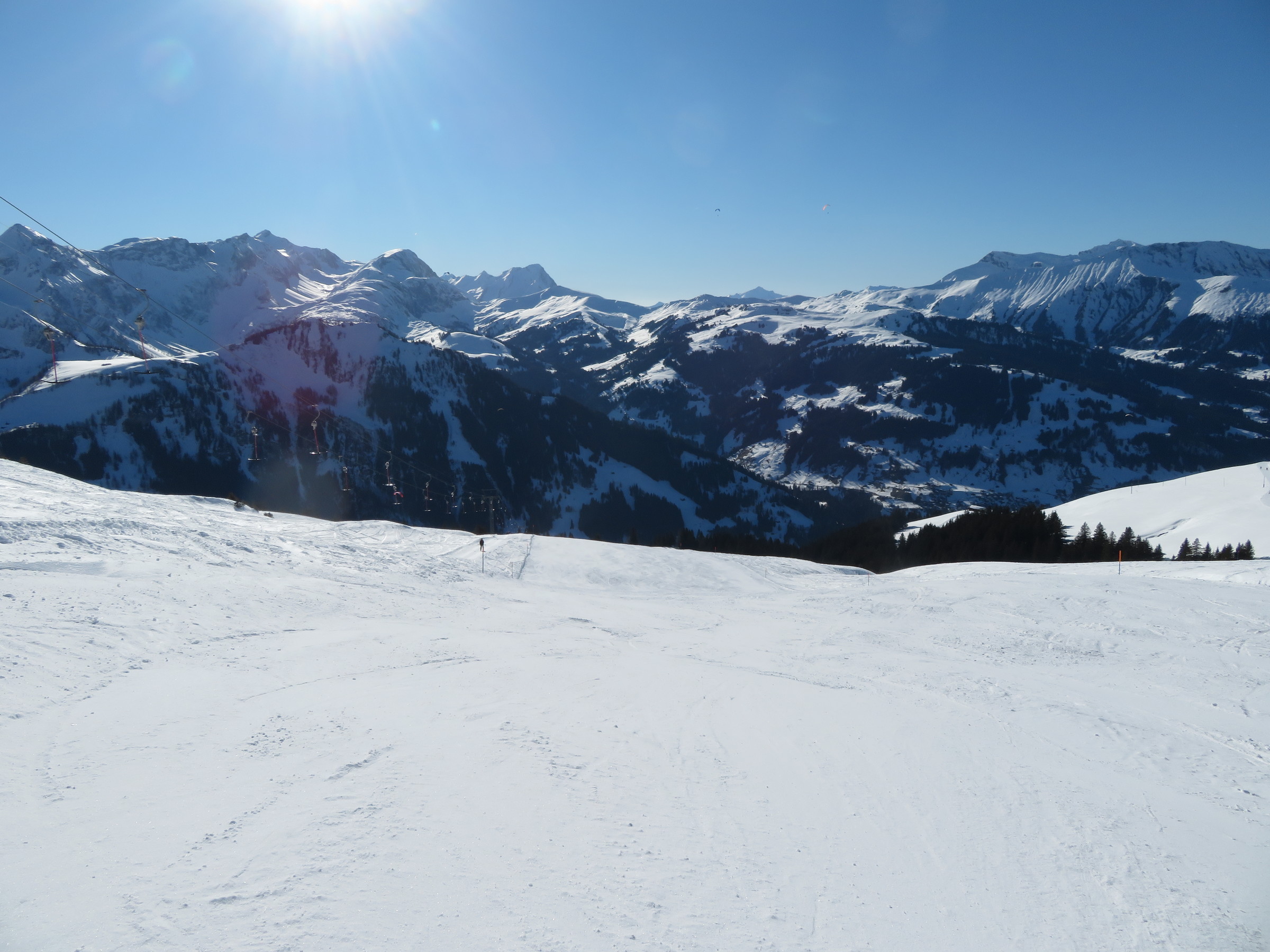 IMG_8924.JPG