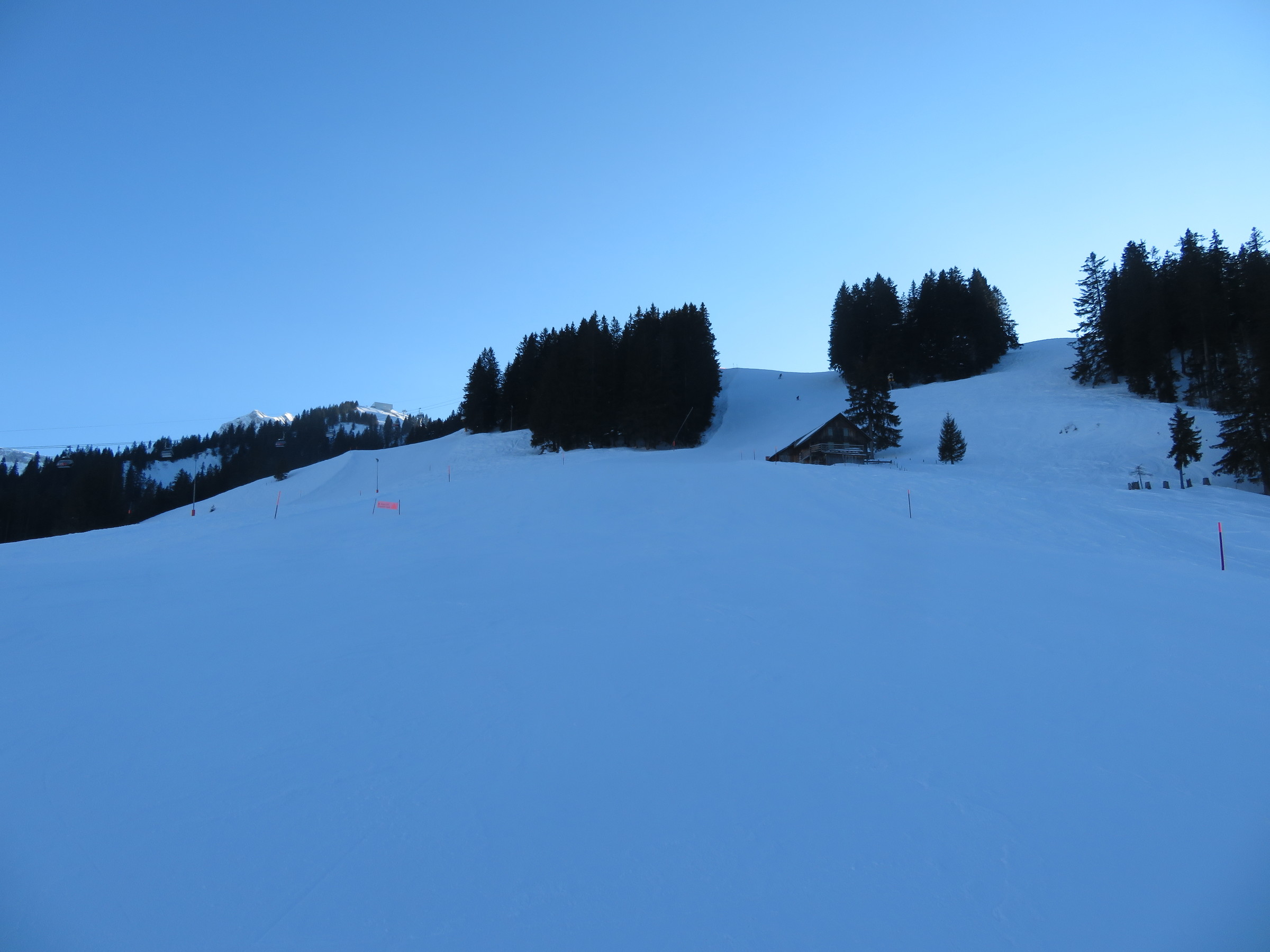 IMG_8941.JPG