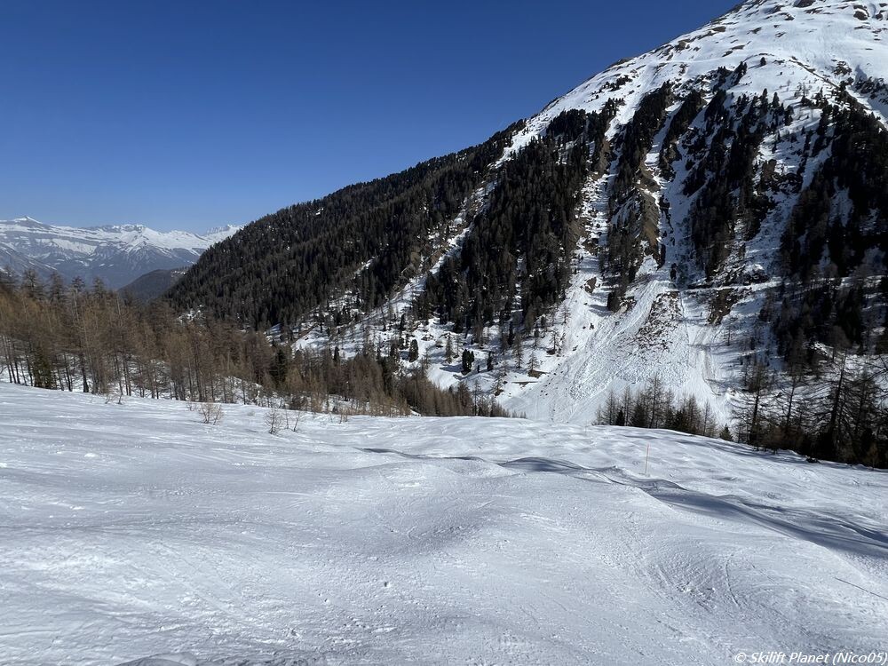 IMG_9115.JPG