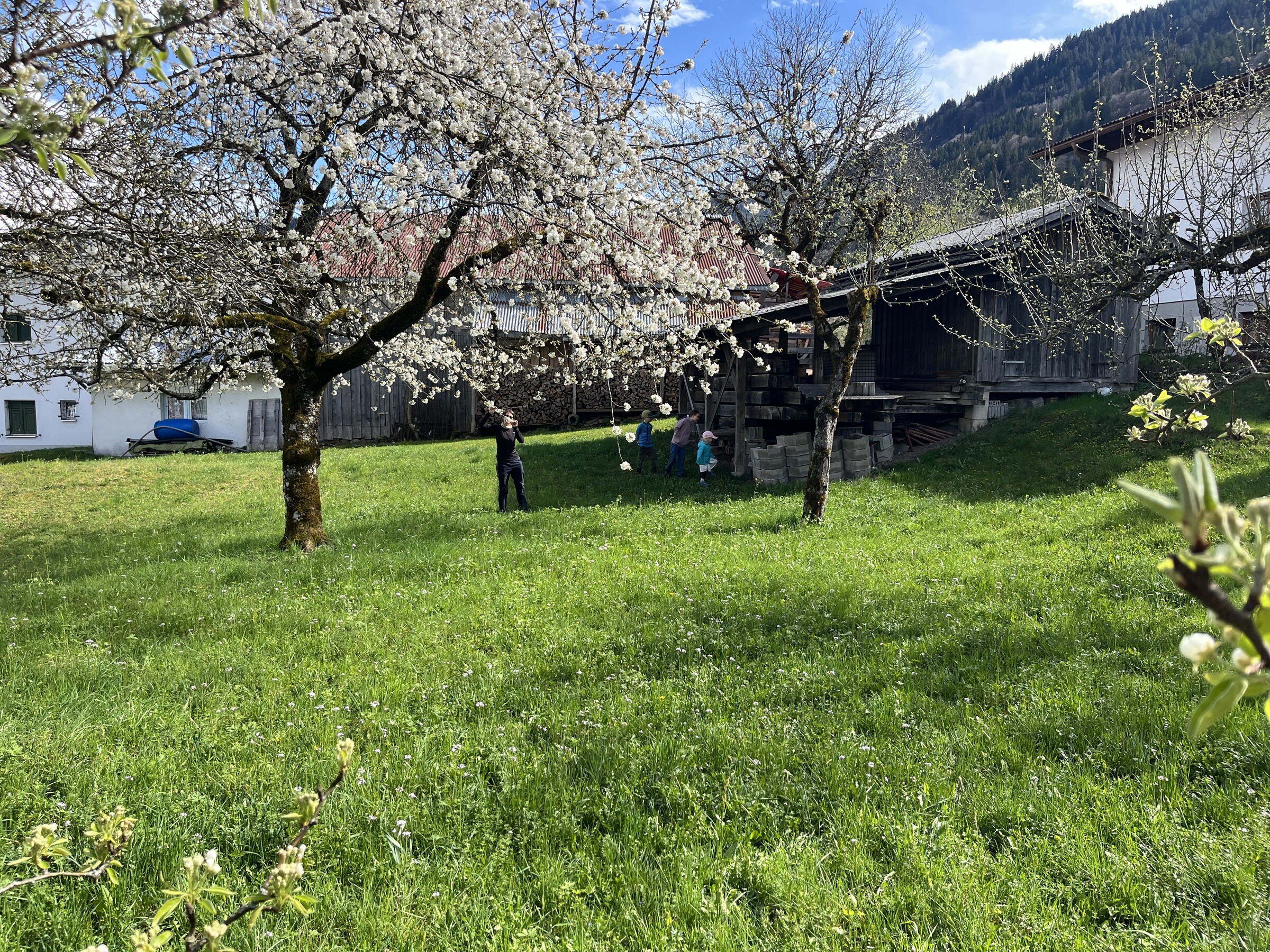 IMG_9226.jpeg