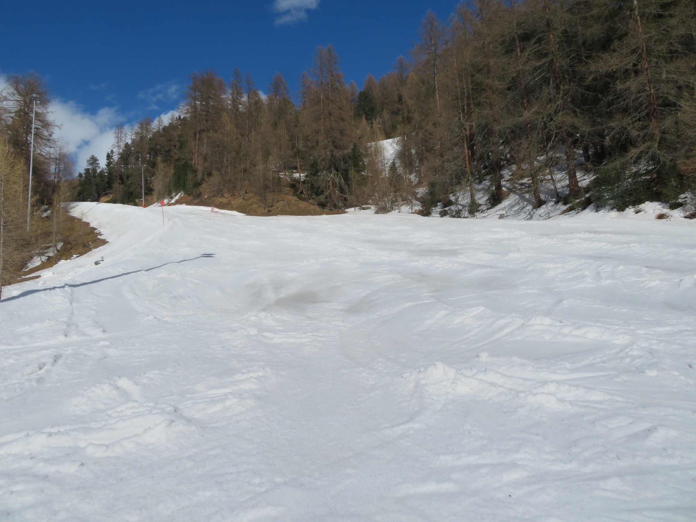 IMG_9375.JPG