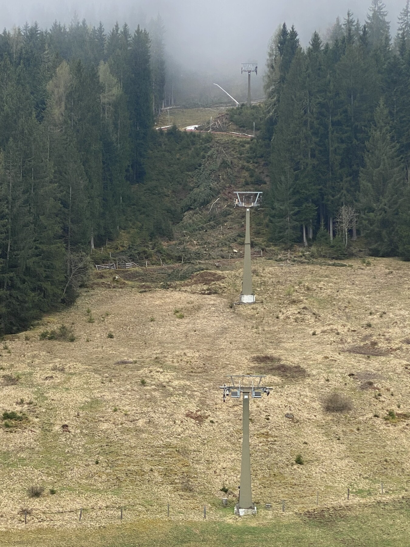 IMG_9463.jpeg