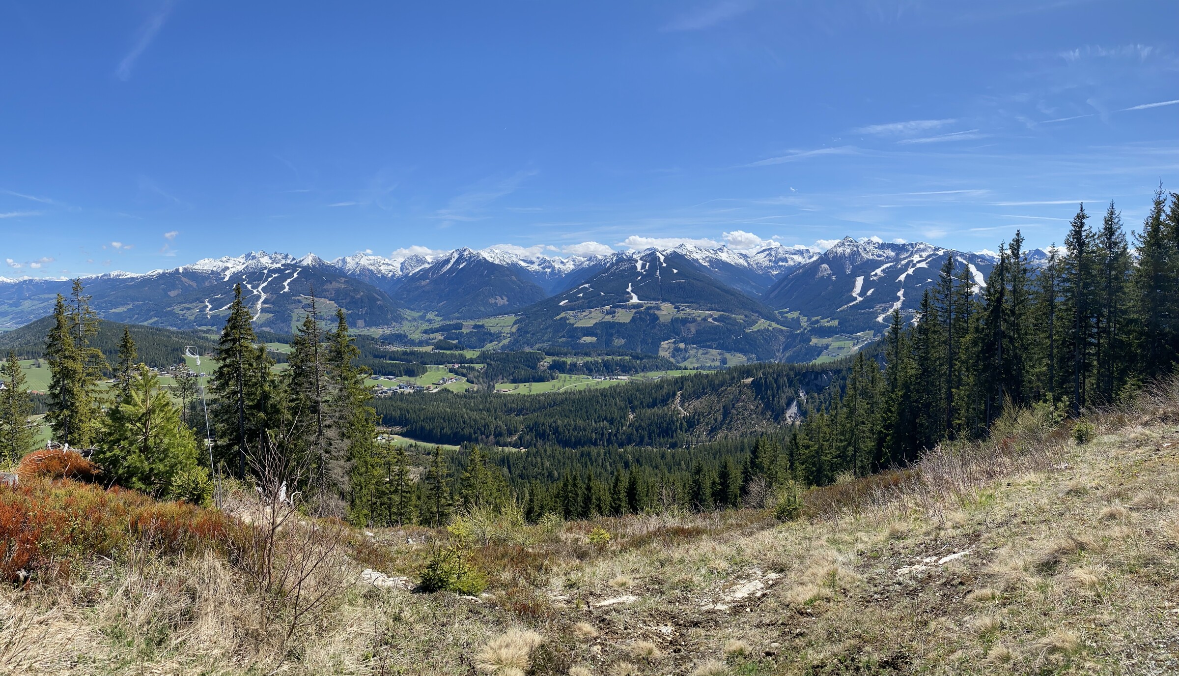 IMG_9499.jpeg