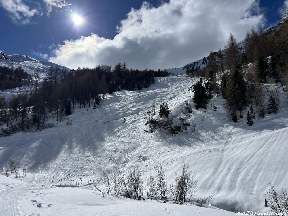 IMG_9511.jpeg