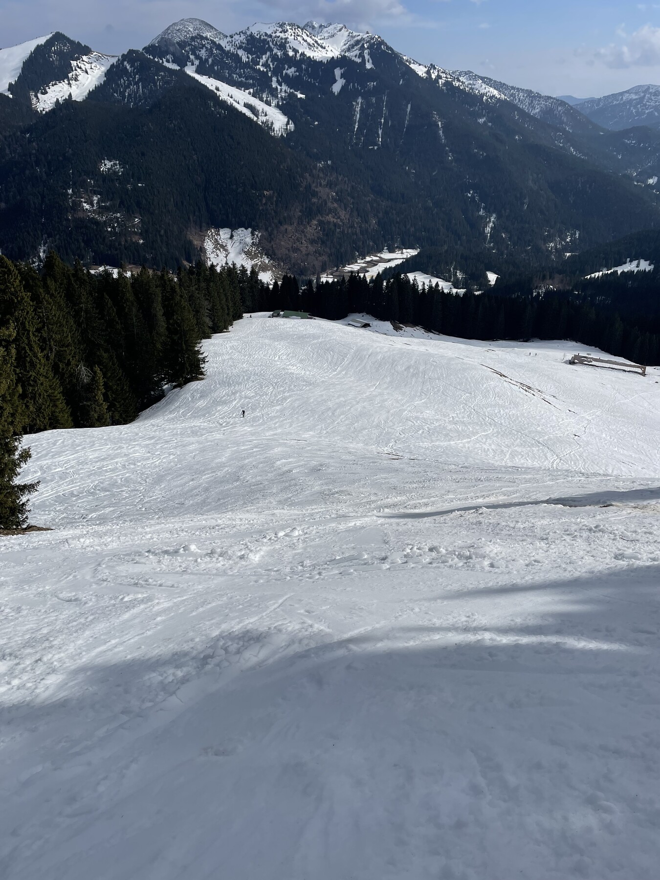 IMG_9812.jpeg