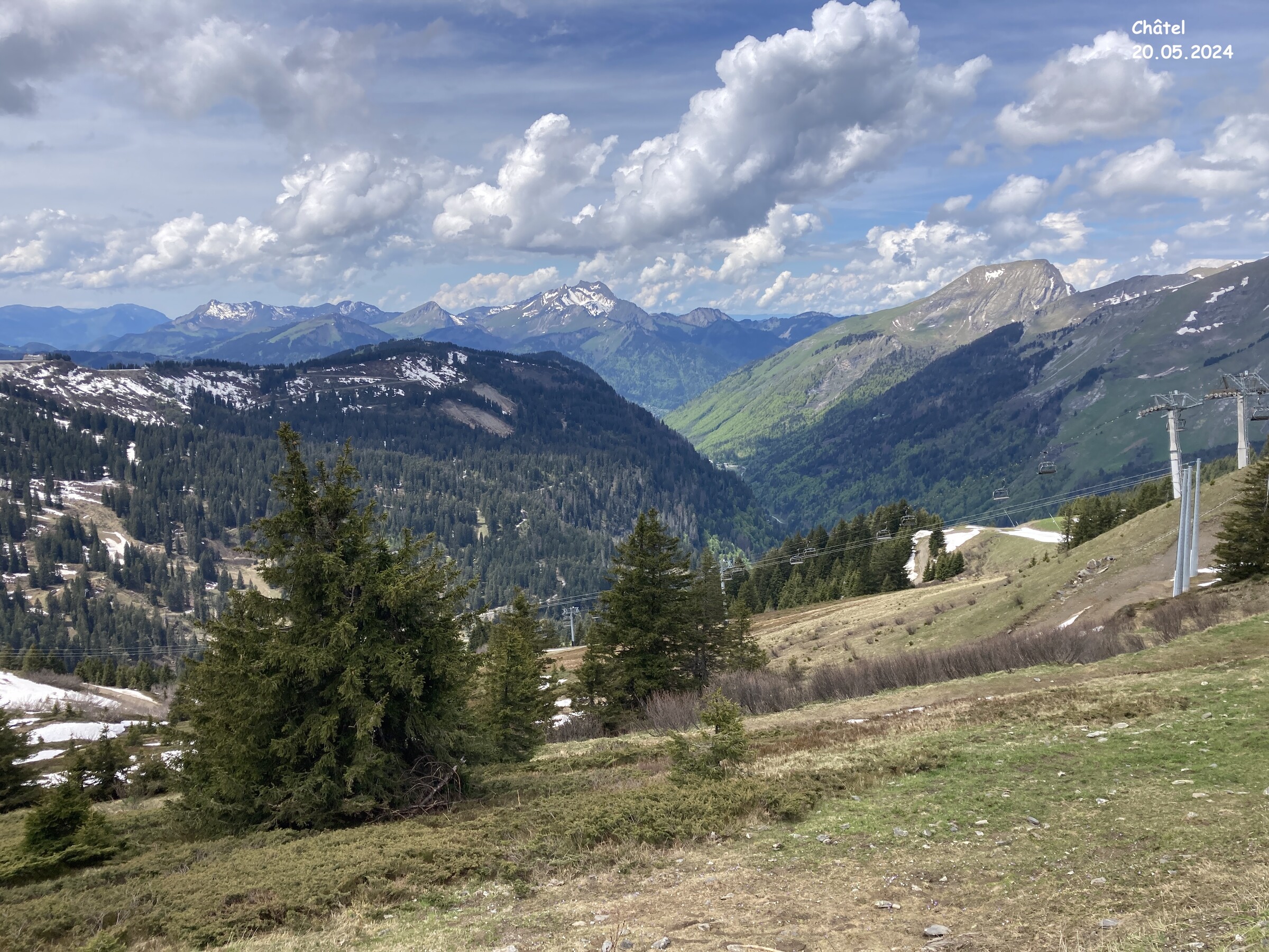 IMG_9887.JPG