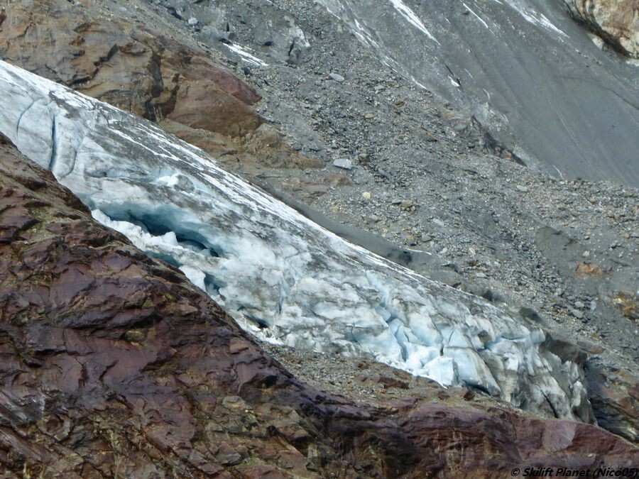 IMG_E6102.JPG