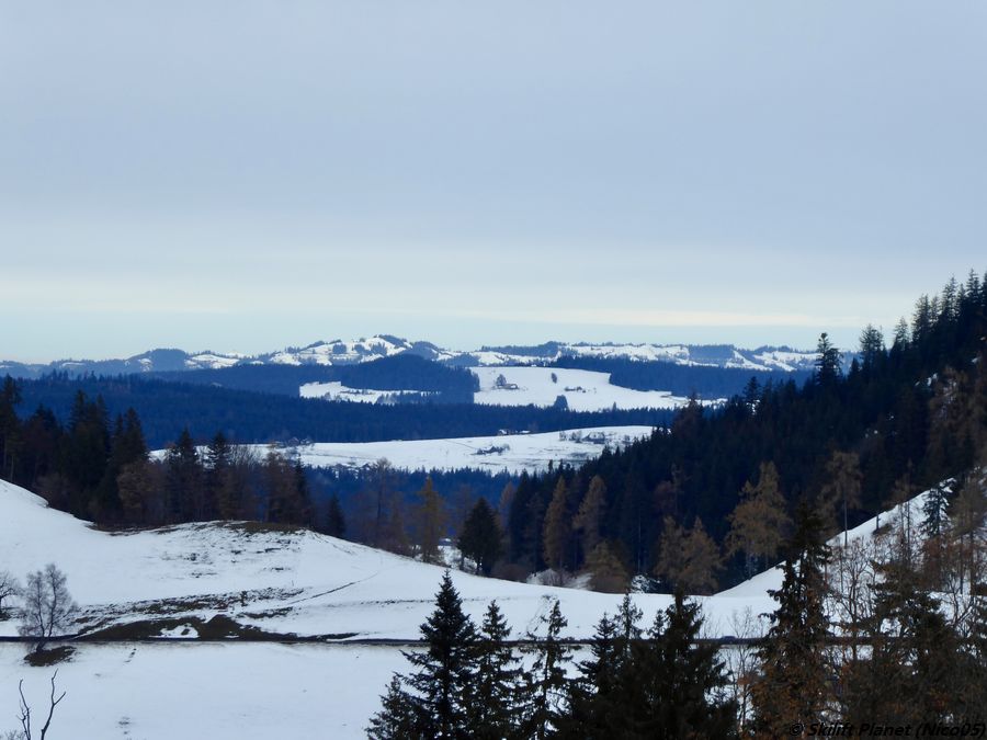 IMG_E8161.JPG