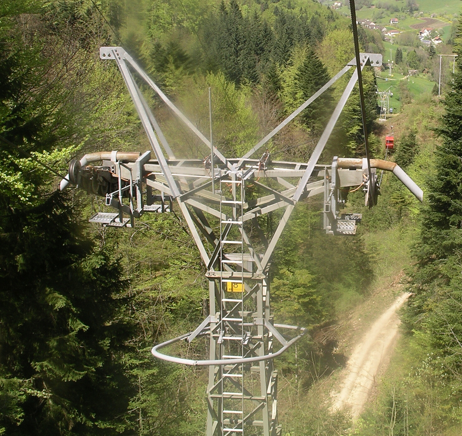 imgp0896.jpg