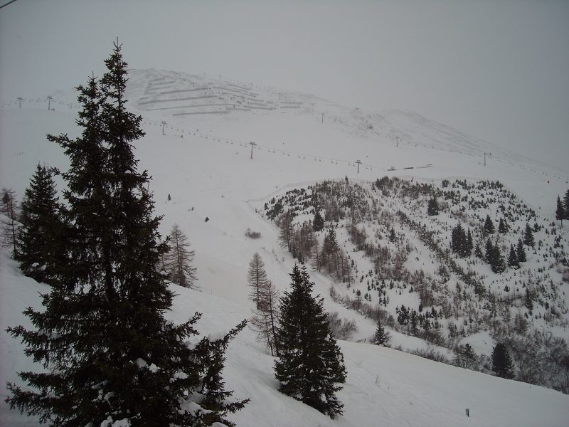 k-DSCN1705.JPG