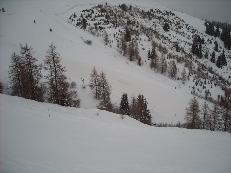 k-DSCN1707.JPG