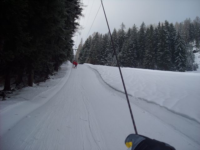 k-DSCN1956.JPG