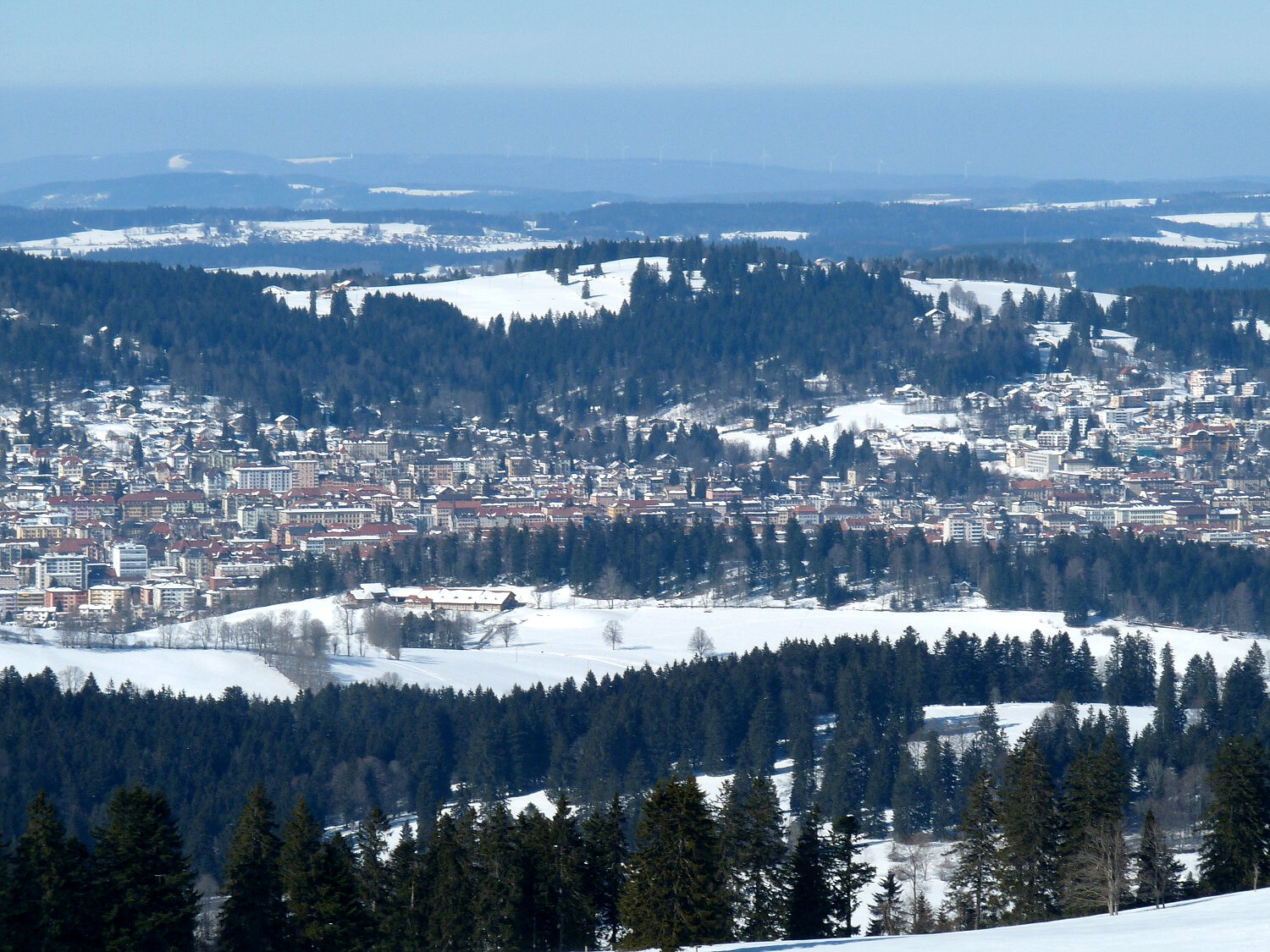 k-P1060412.JPG
