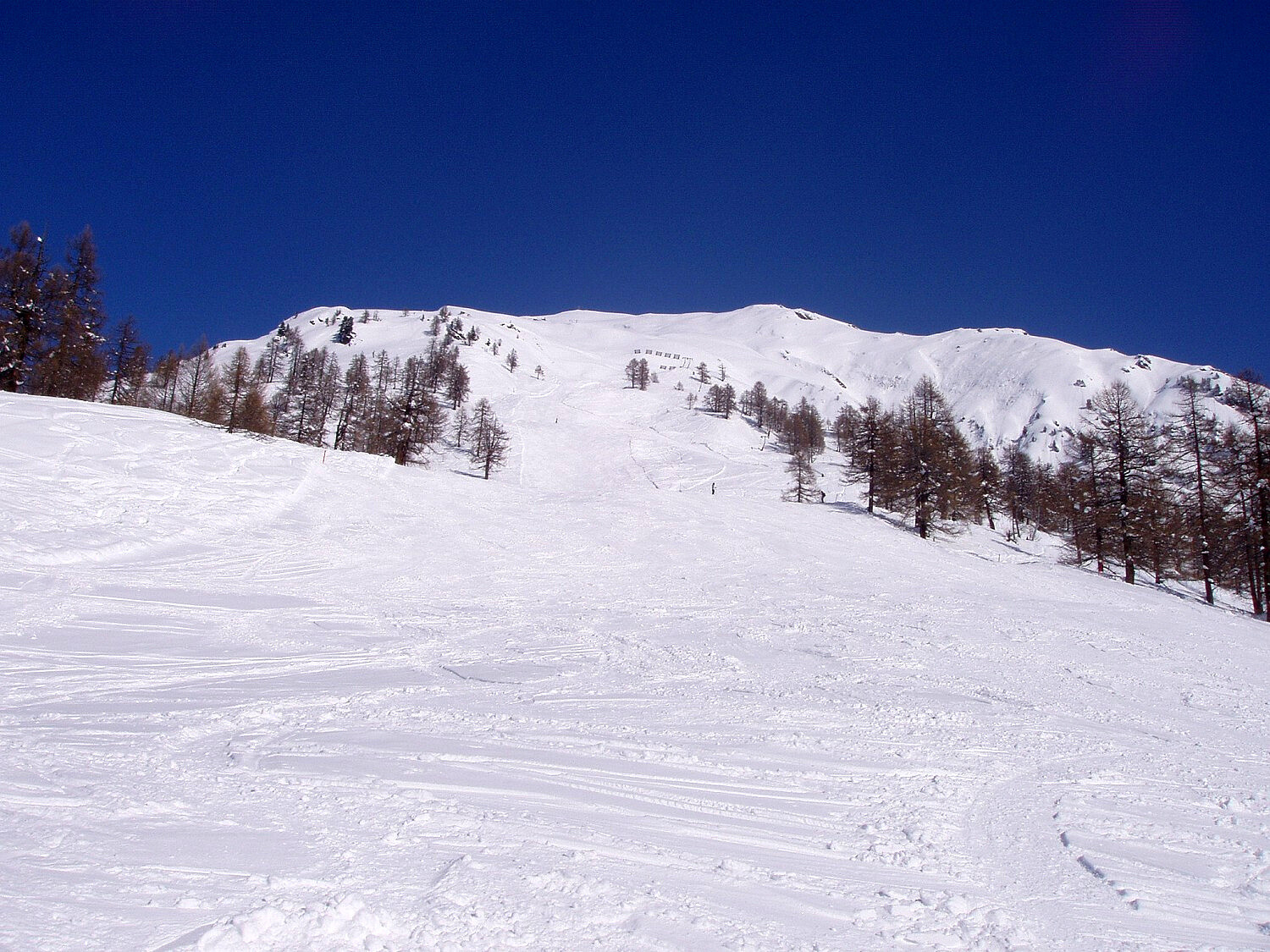 k-P2260044.JPG