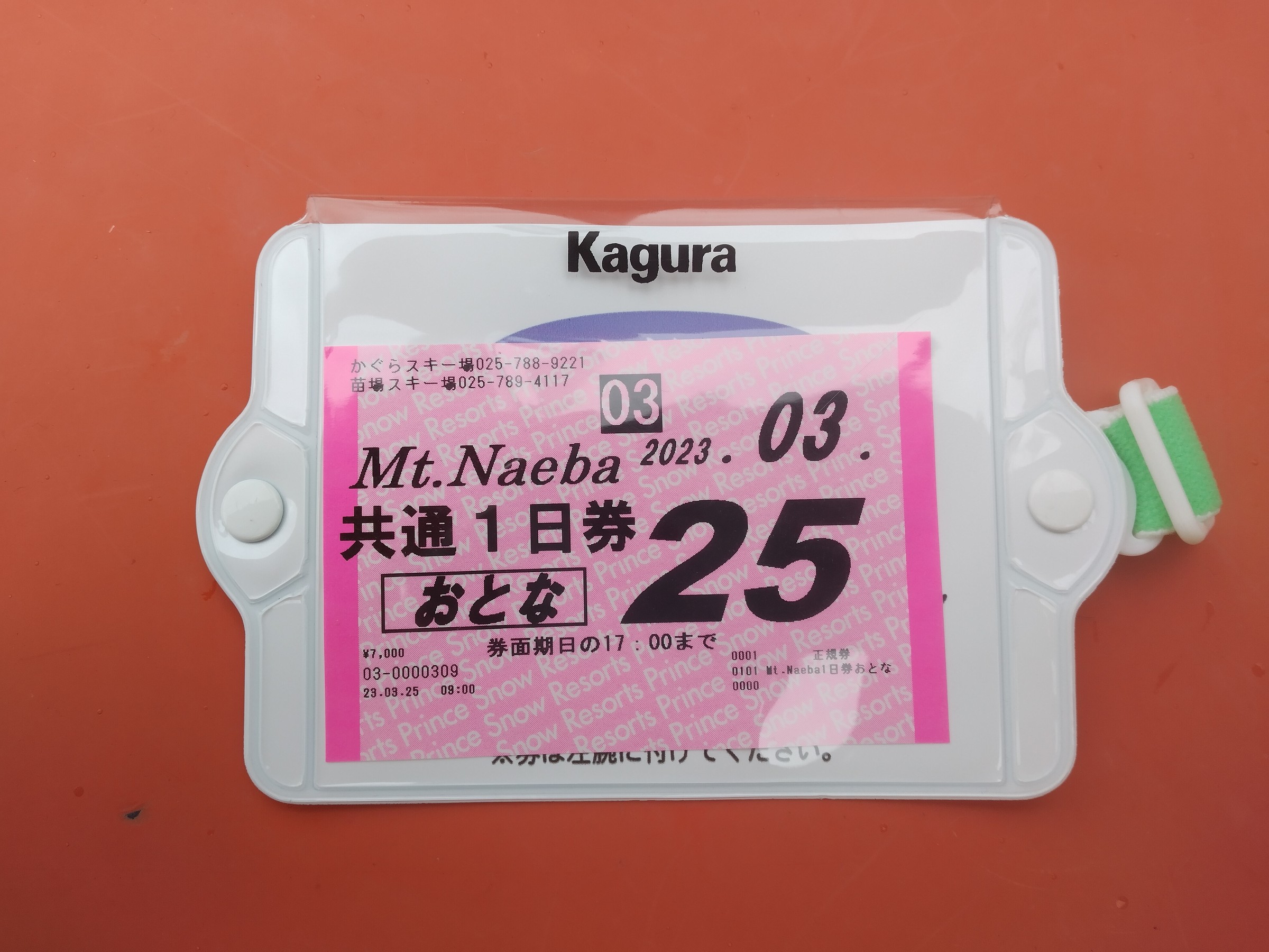 kg1.jpg