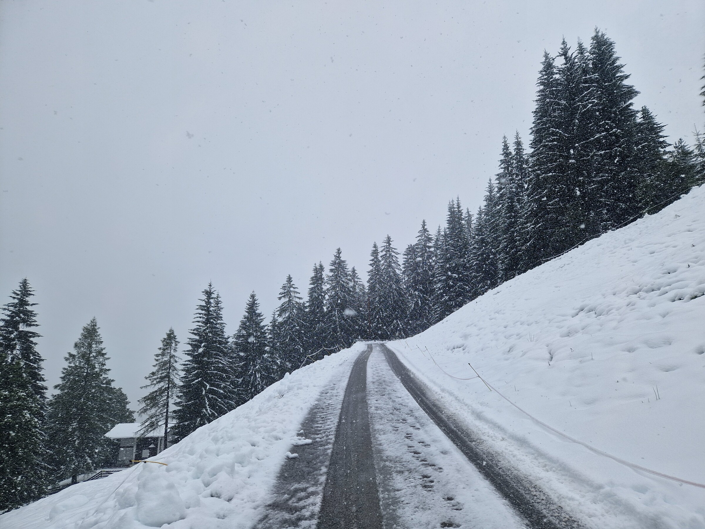 Kitz_Saisonstart_24 (1).jpg