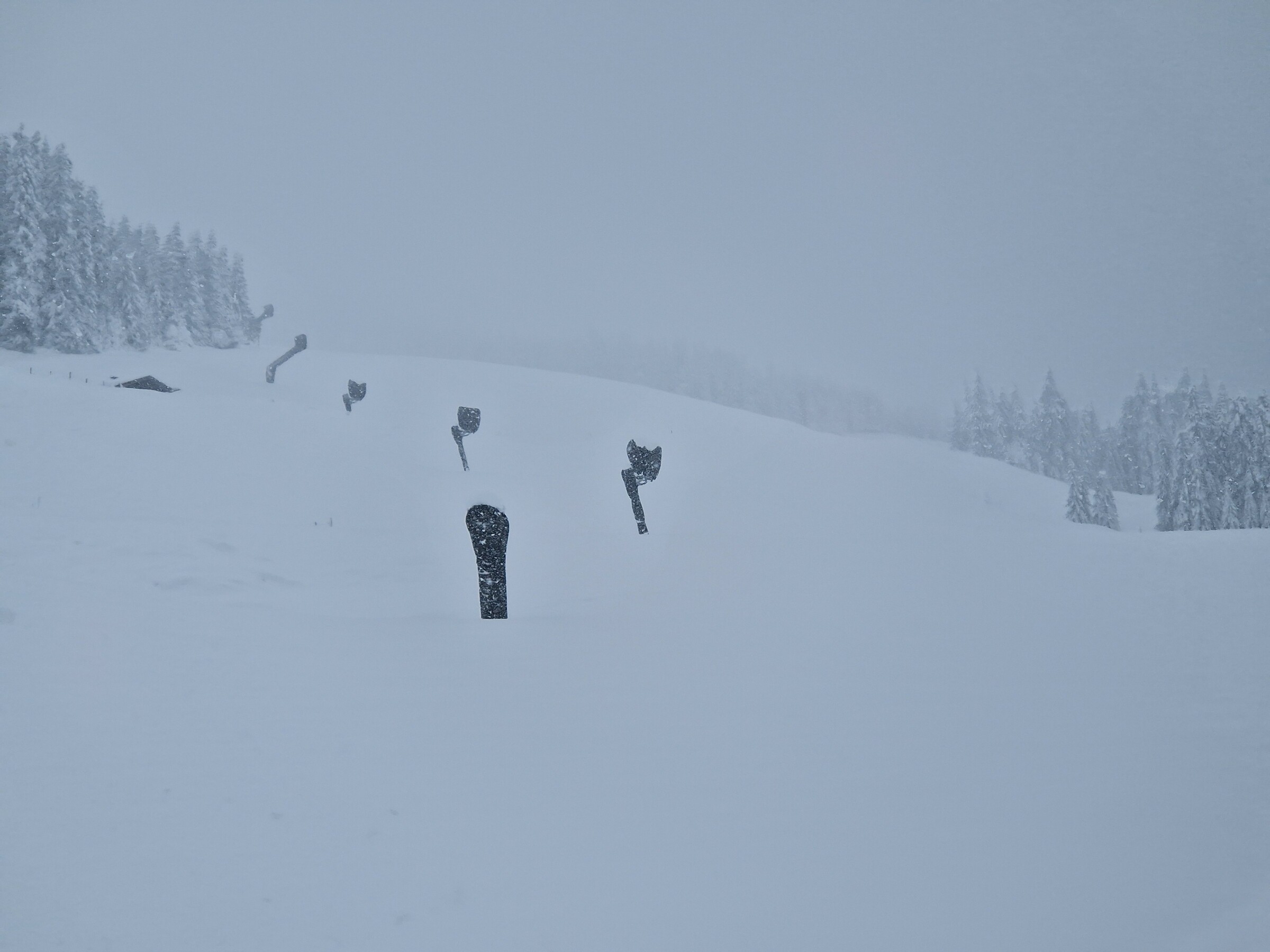 Kitz_Saisonstart_24 (15).jpg