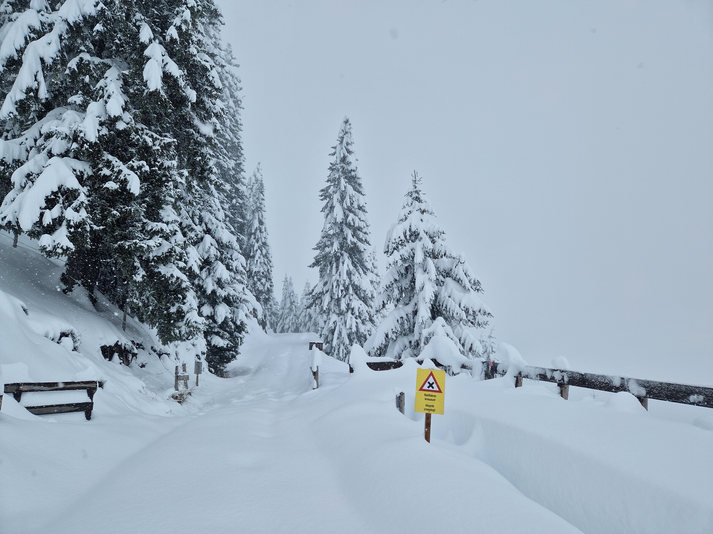 Kitz_Saisonstart_24 (19).jpg