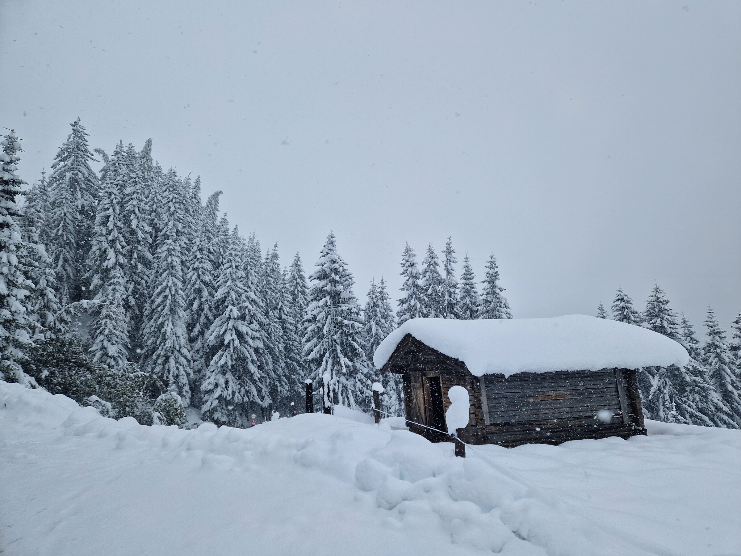 Kitz_Saisonstart_24 (5).jpg
