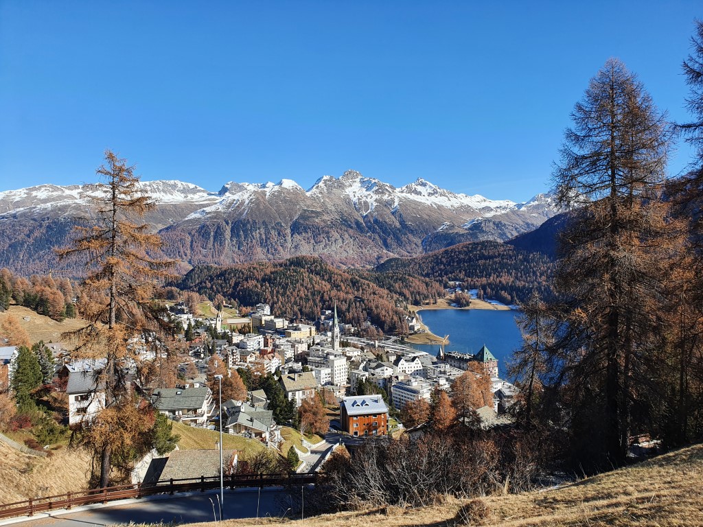 Moritz (2).jpg