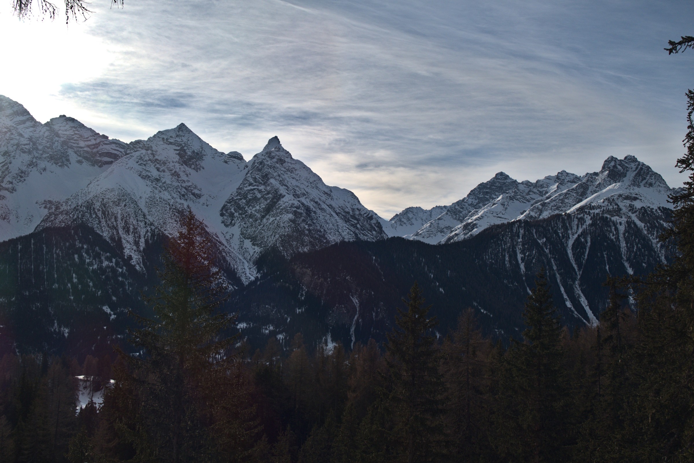 P1000037.jpg