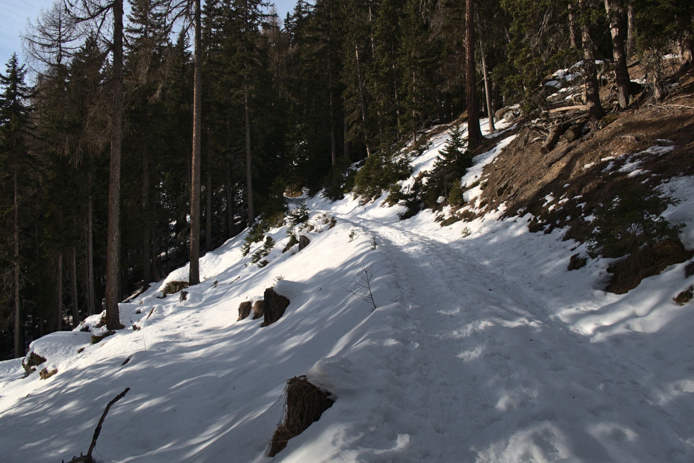 P1000039.jpg
