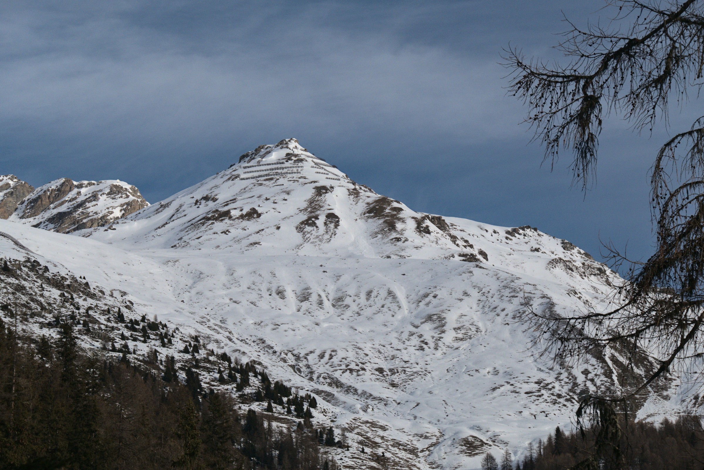 P1000042.jpg