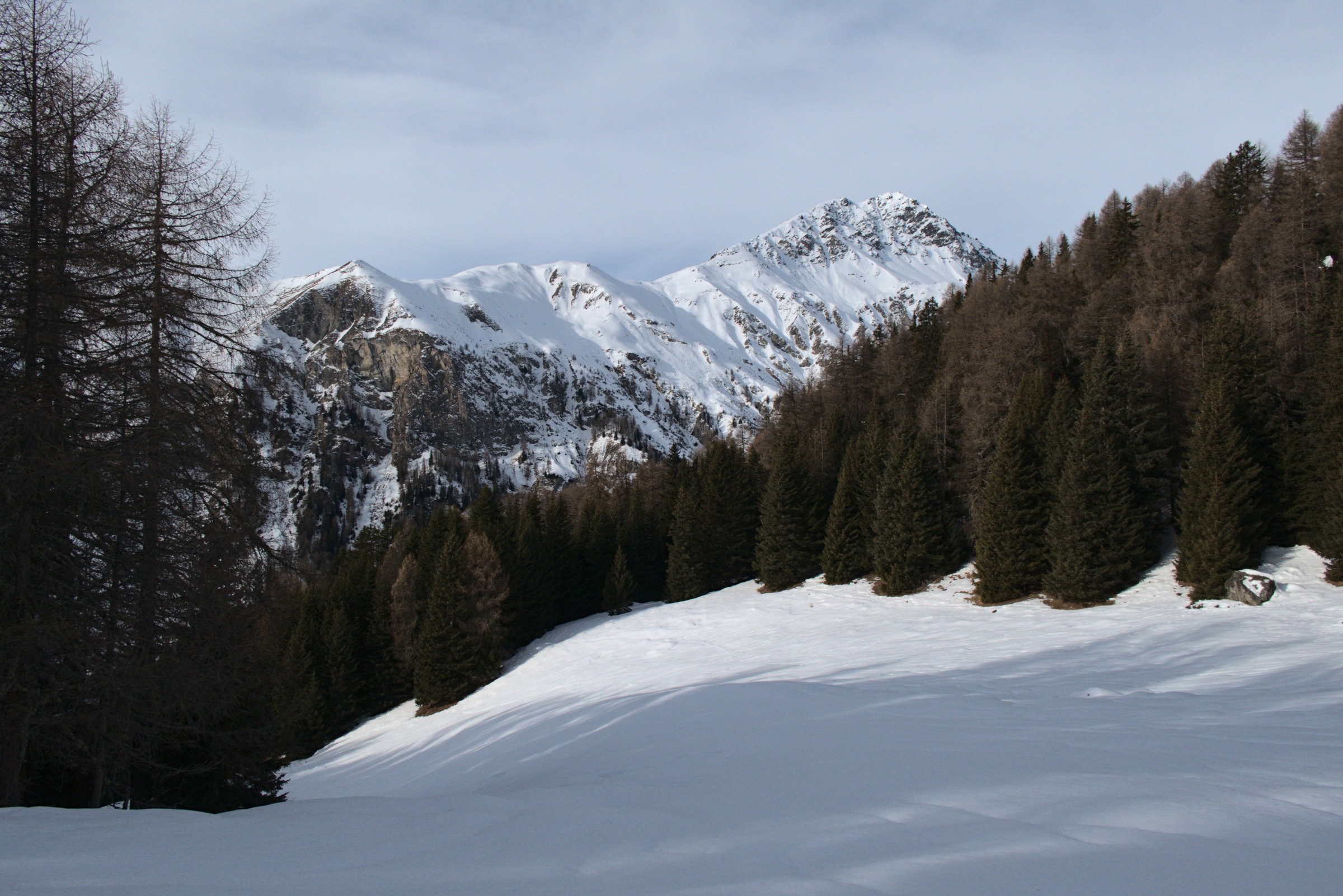 P1000049.jpg