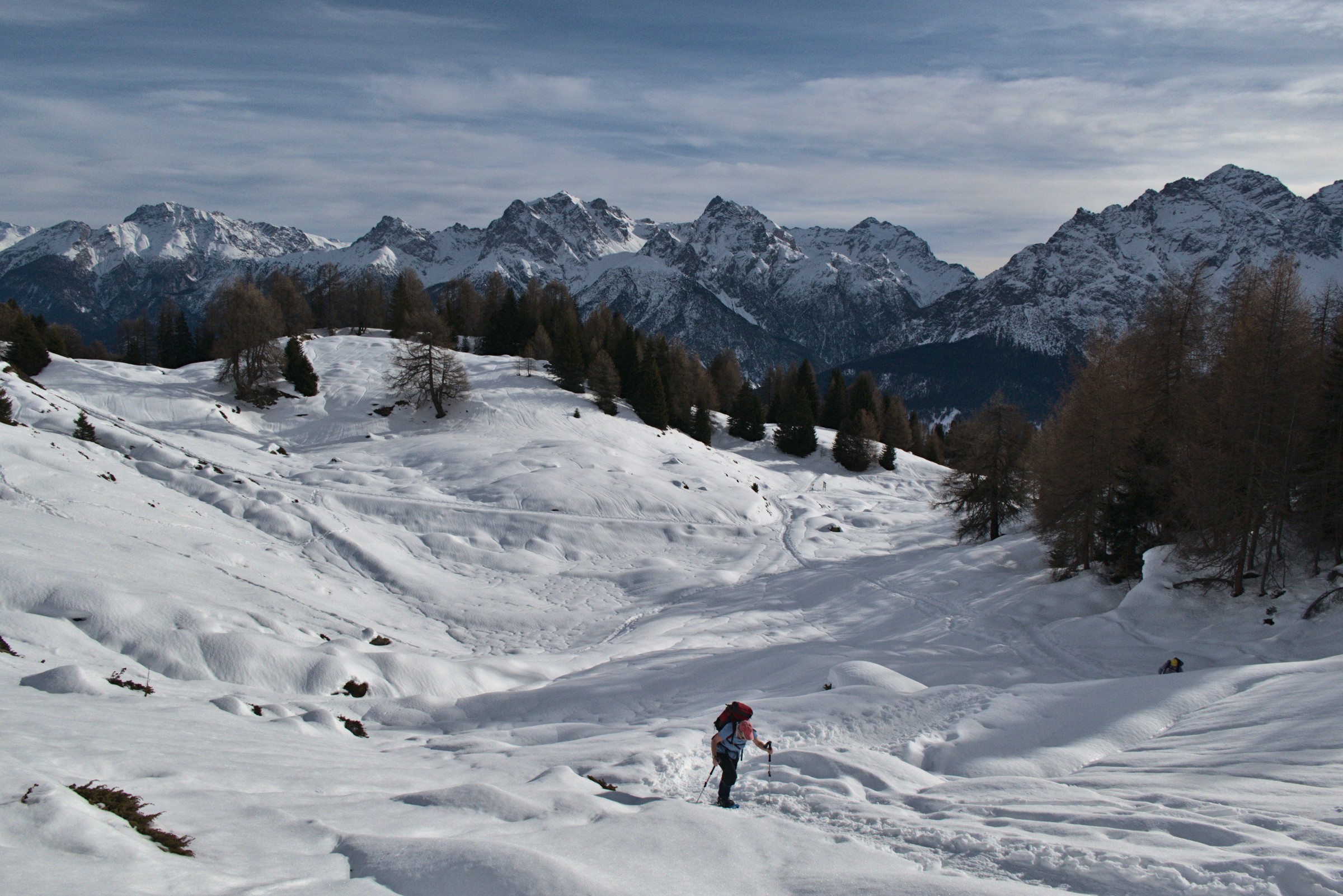 P1000077.jpg