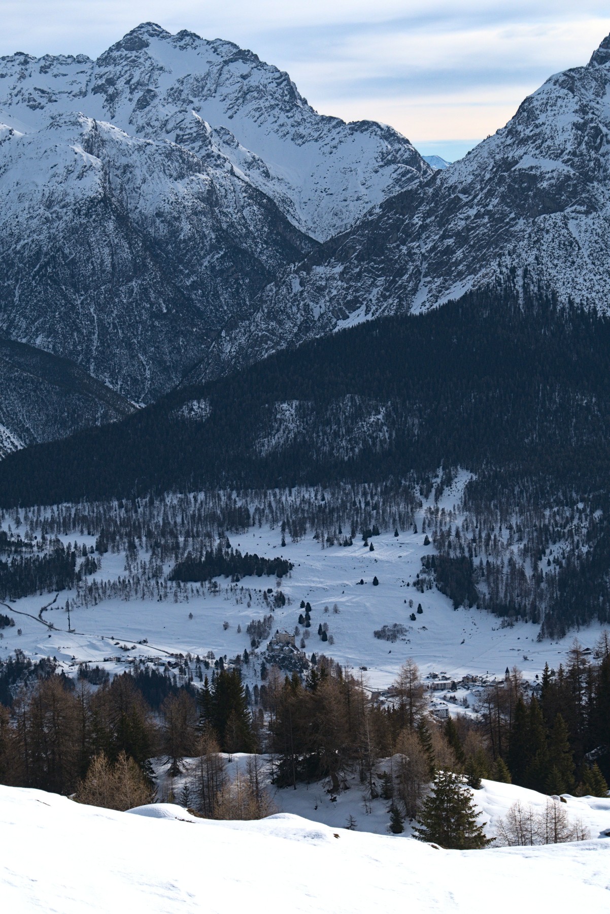 P1000079.jpg
