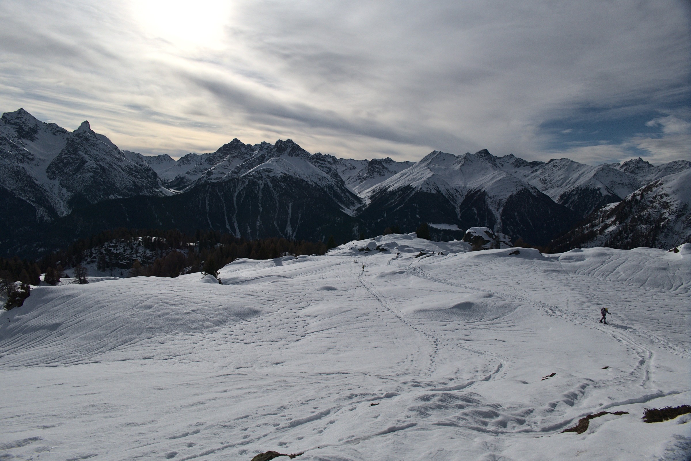 P1000081.jpg