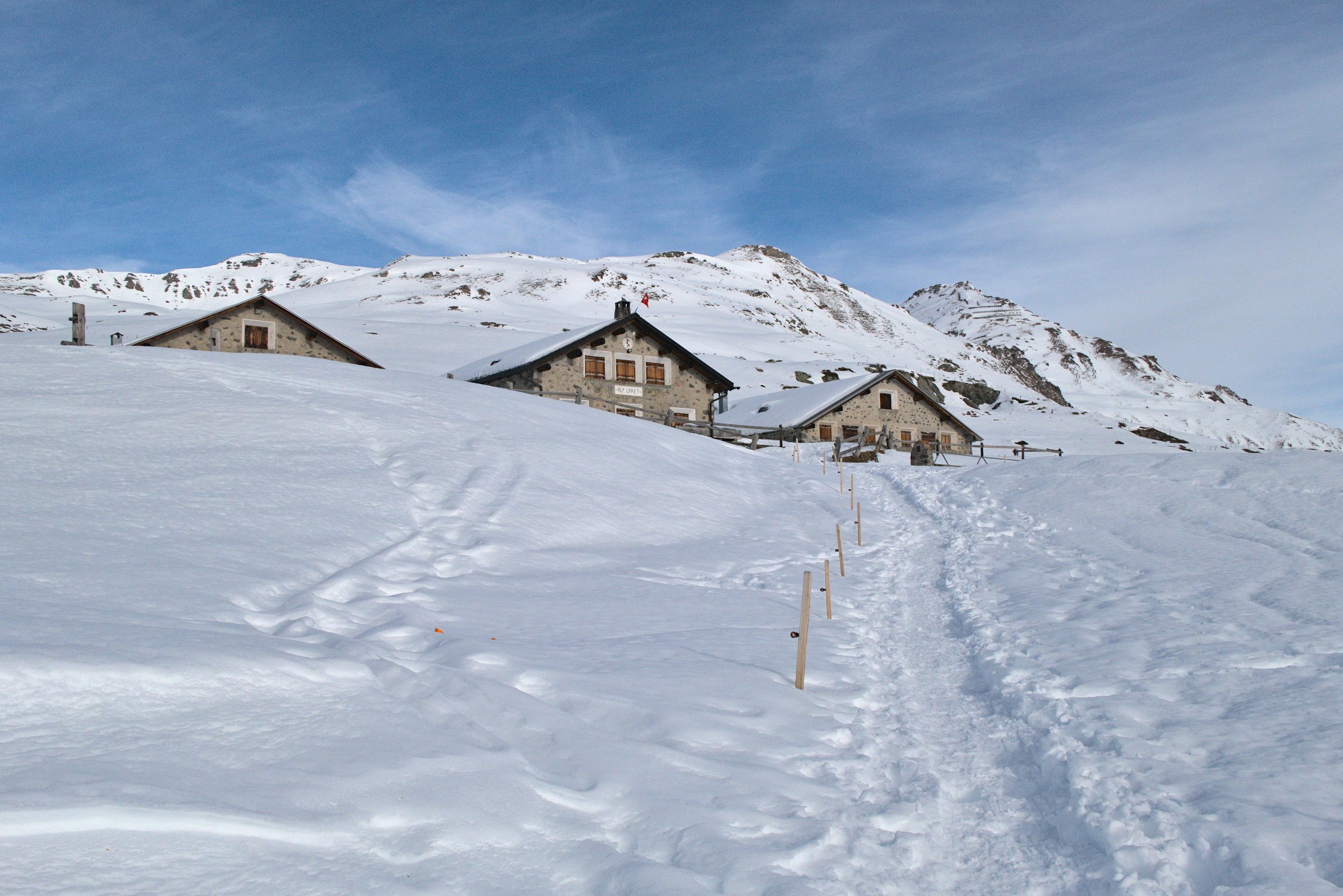 P1000083.jpg