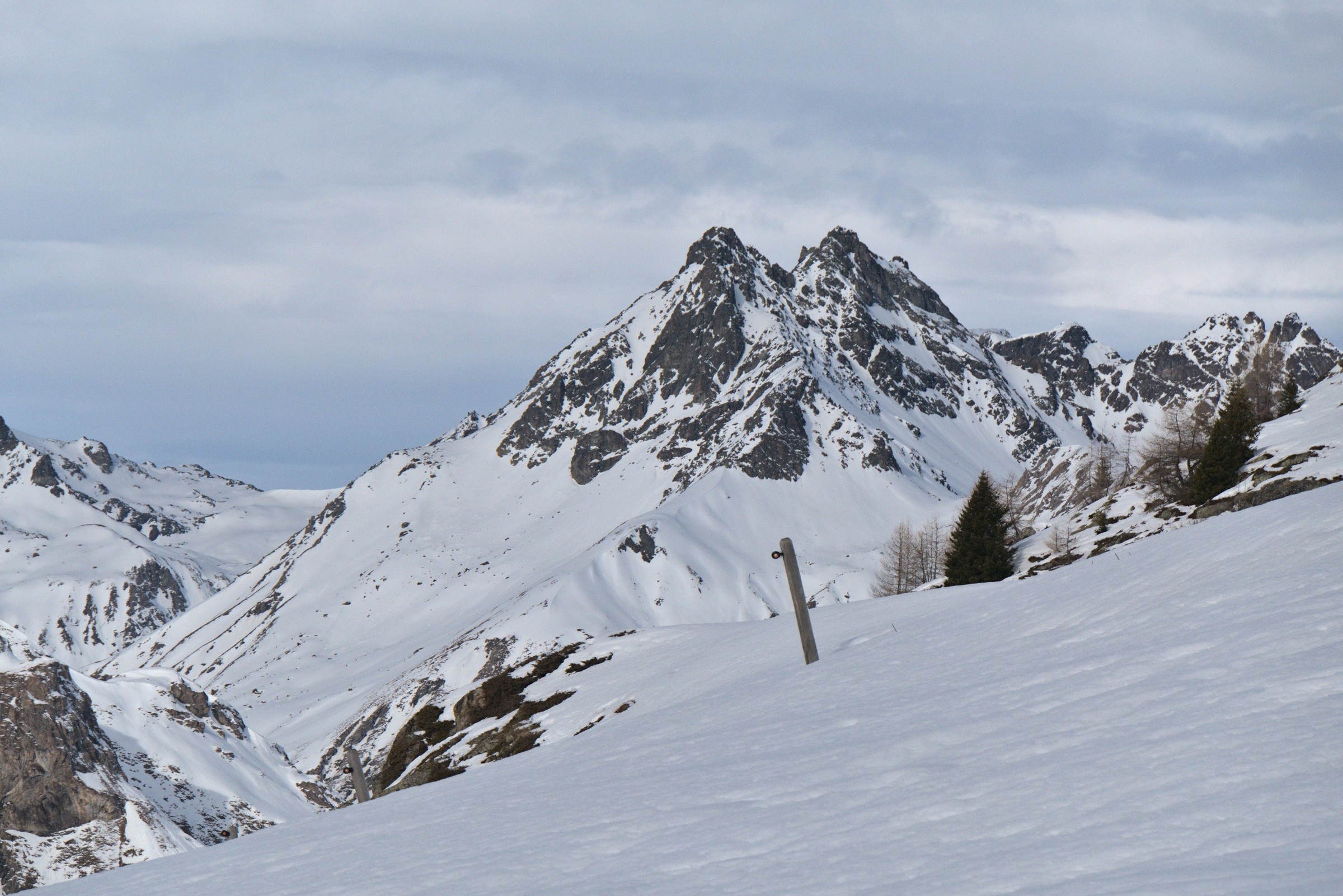 P1000087.jpg