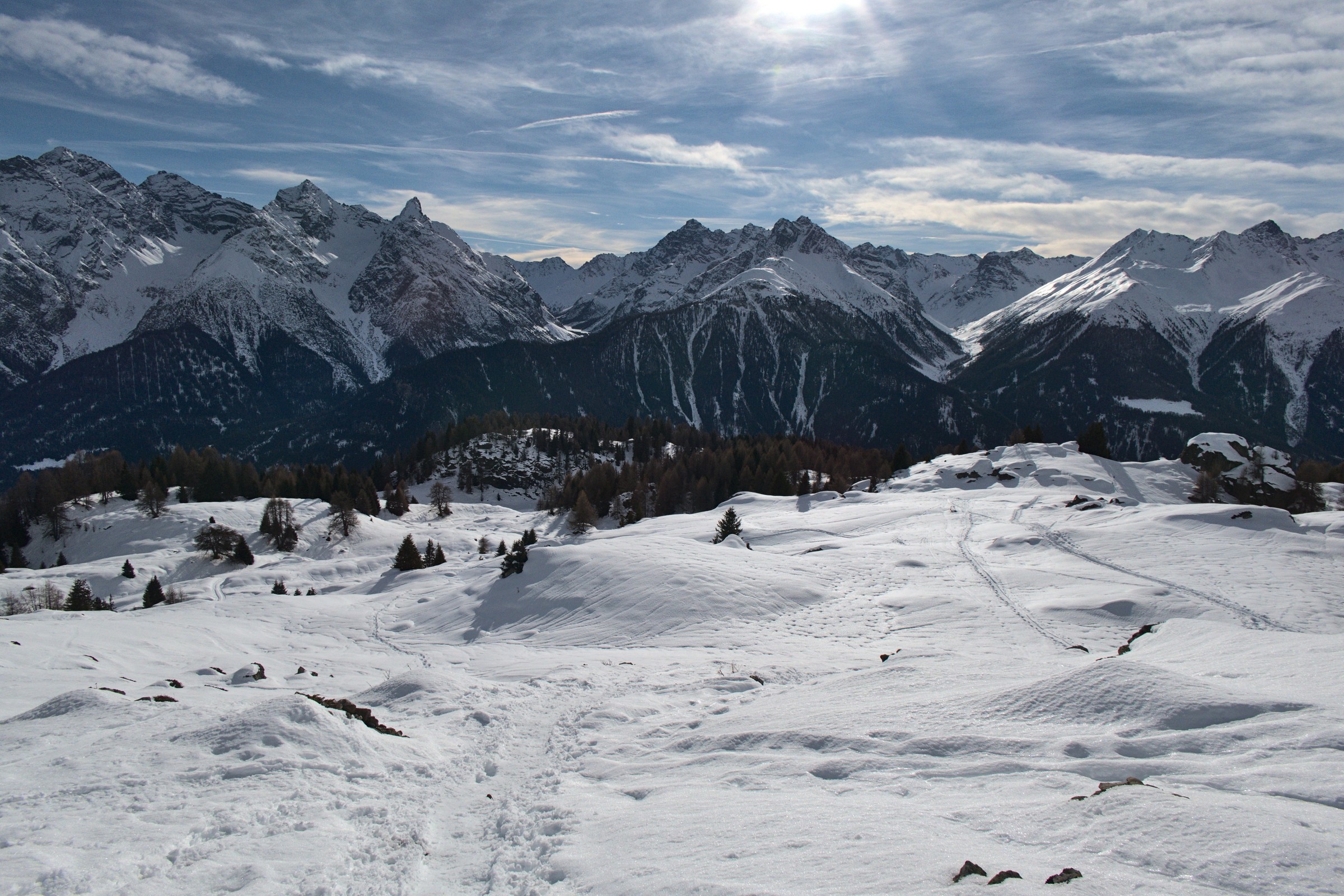 P1000088.jpg