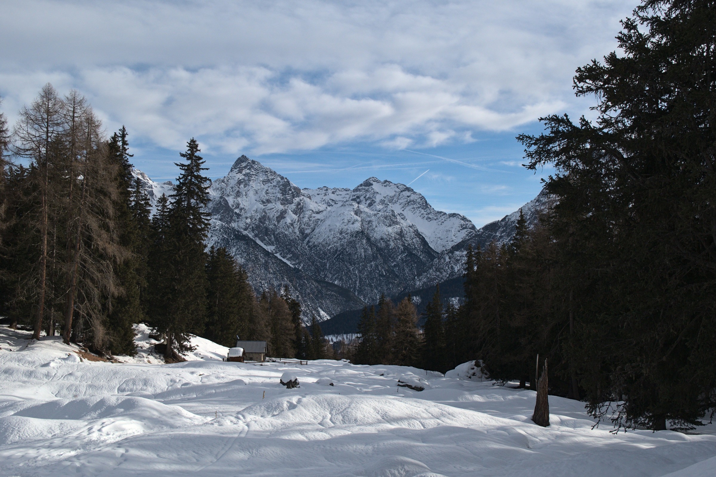 P1000094.jpg