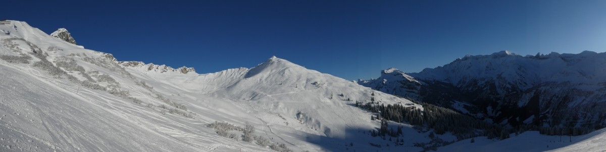 P1000113.JPG