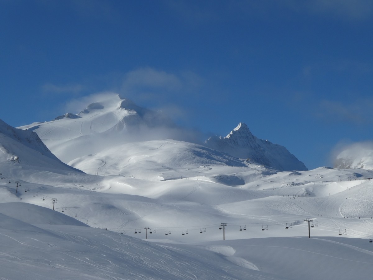 P1000663.JPG