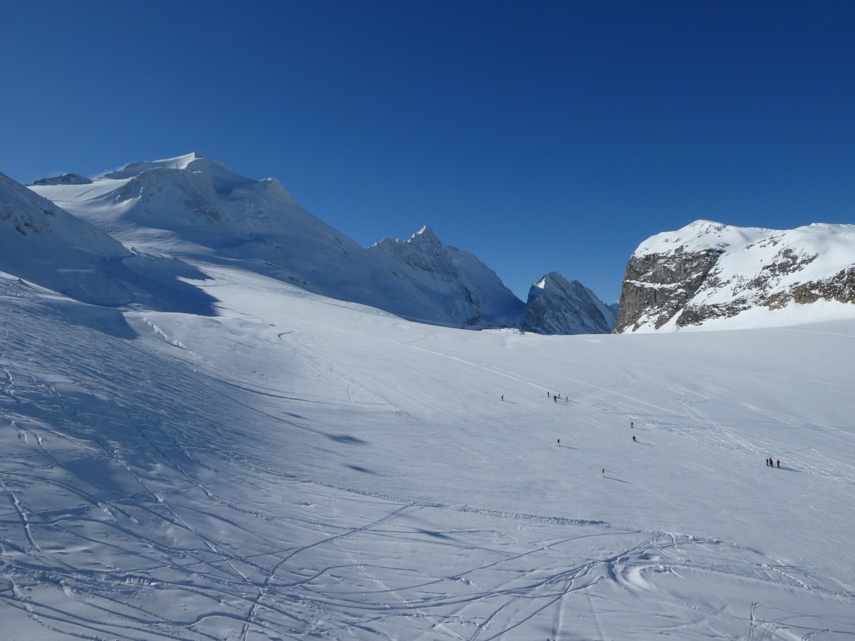 P1000689.JPG