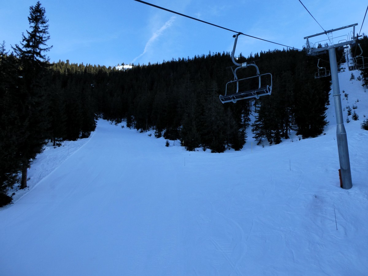 P1000790.JPG