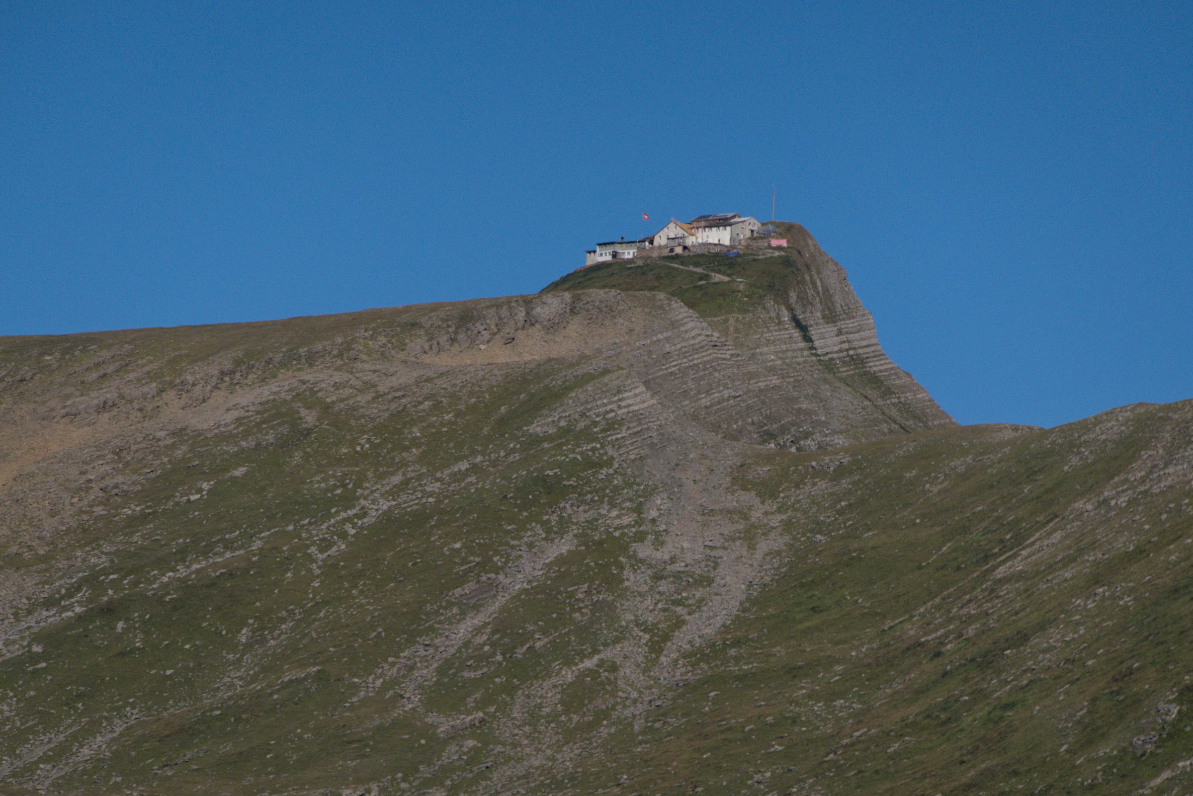 P1009156.jpg