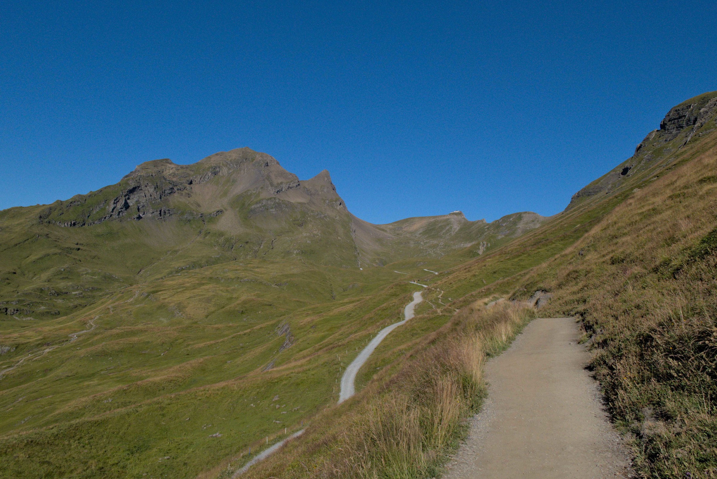 P1009157.jpg