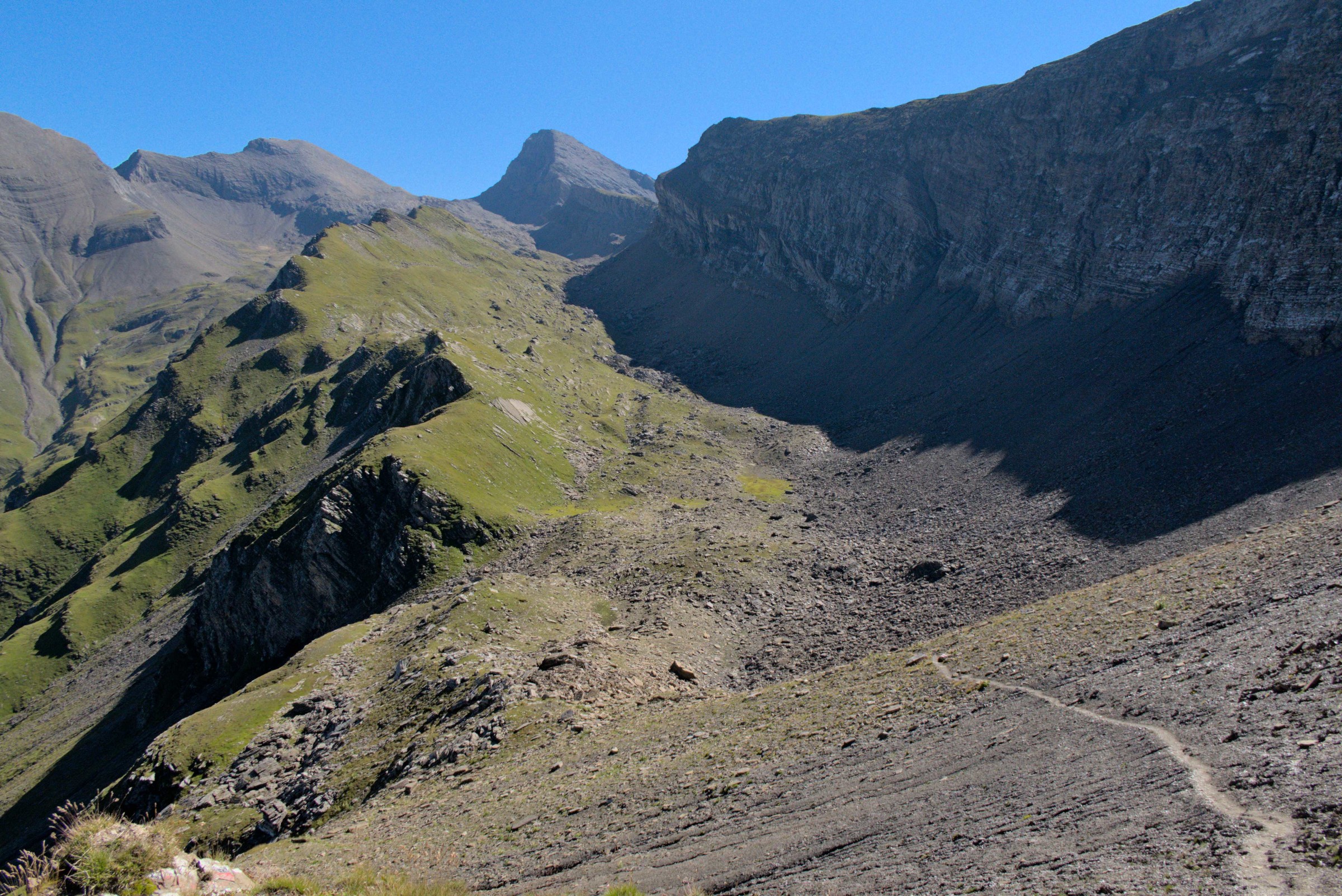 P1009200.jpg