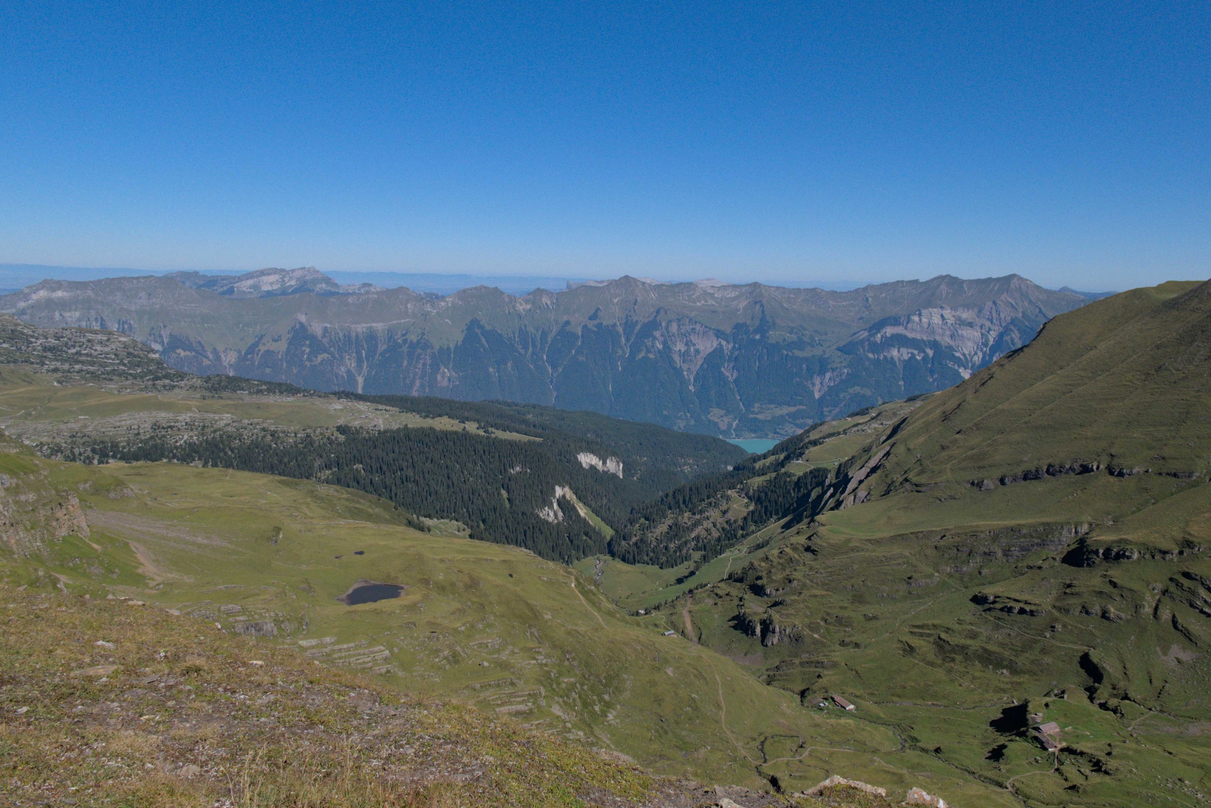 P1009201.jpg