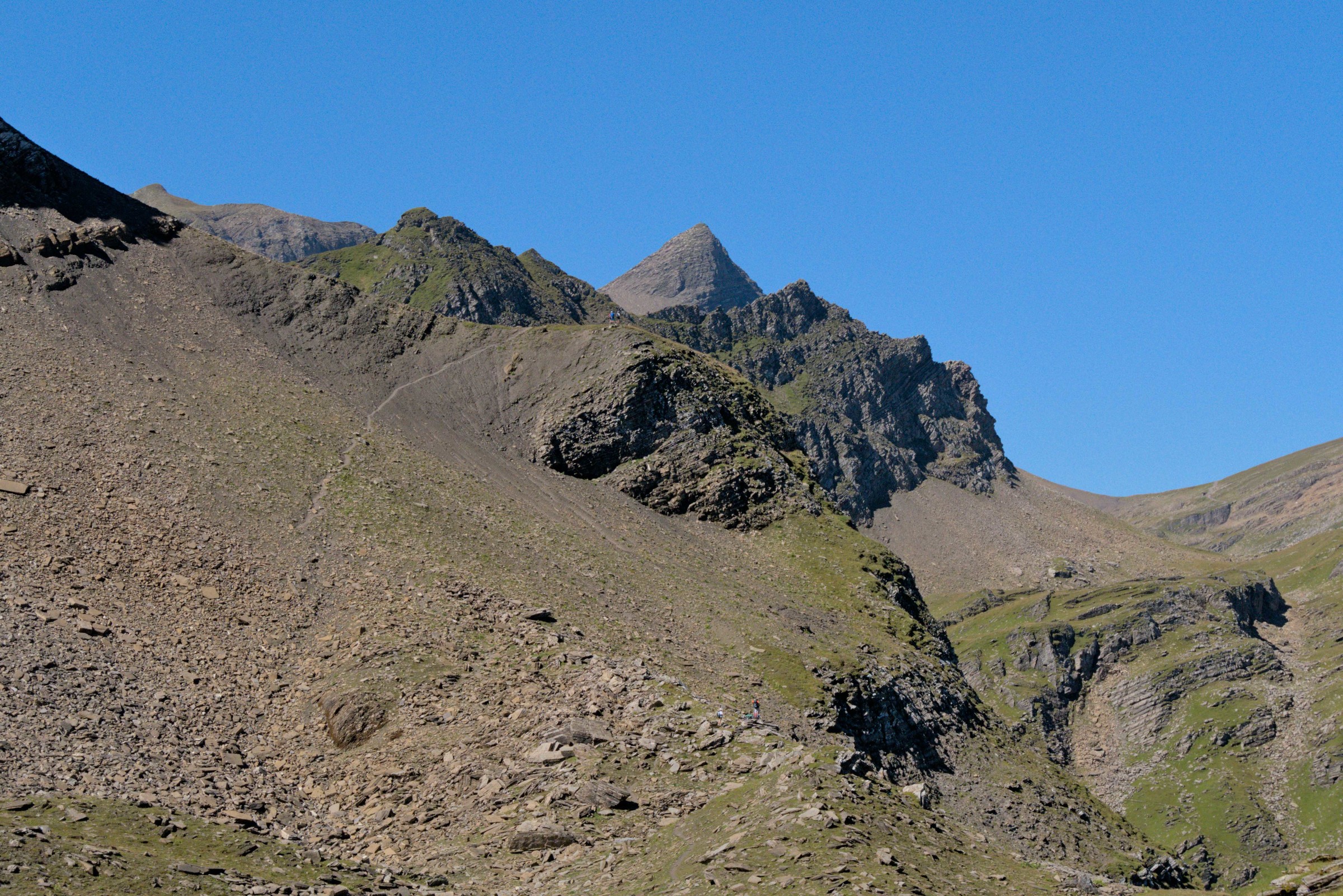 P1009207.jpg